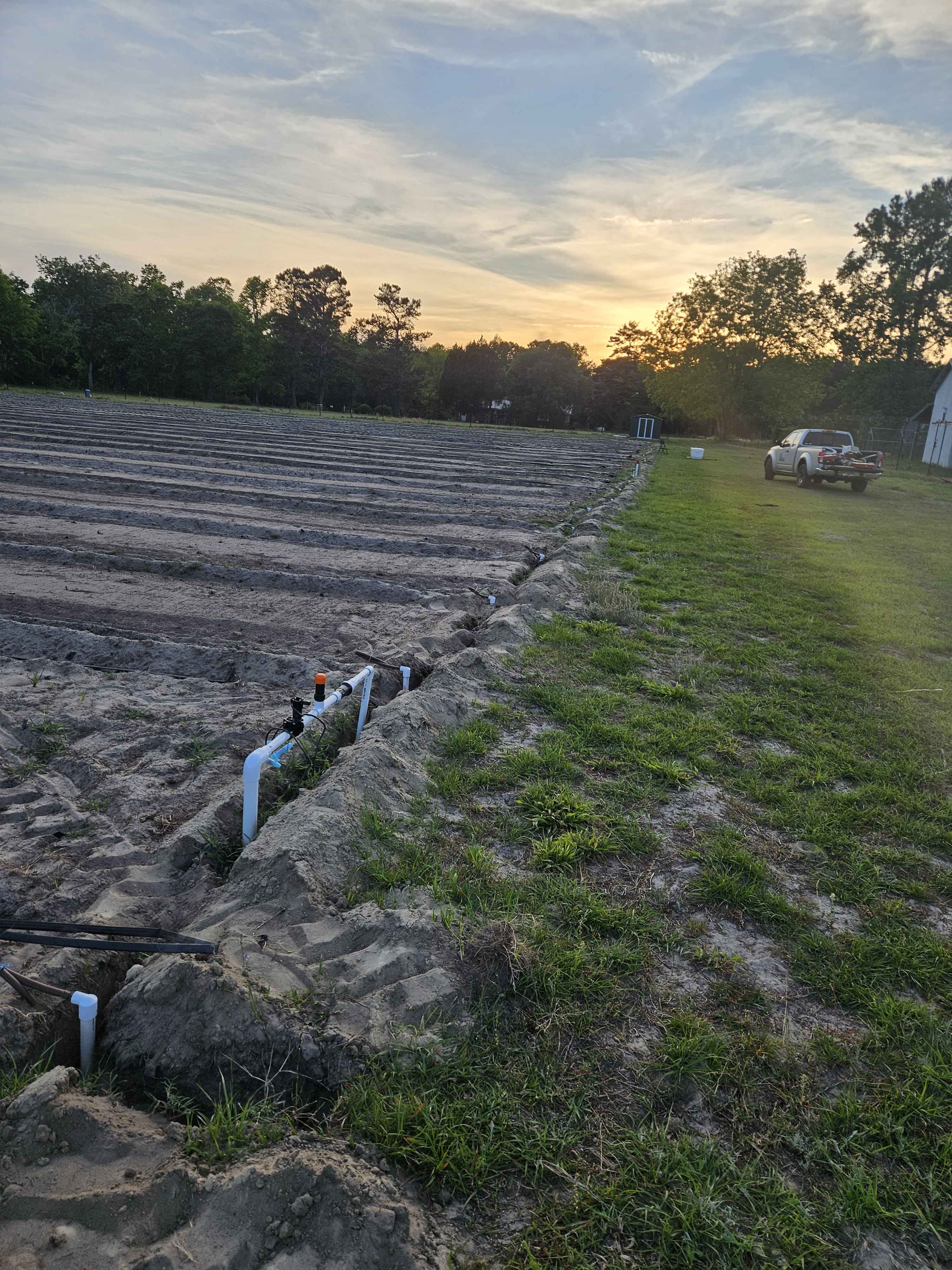 Drip irrigation pipe installation in Goose Creek SC by R&F Irrigation